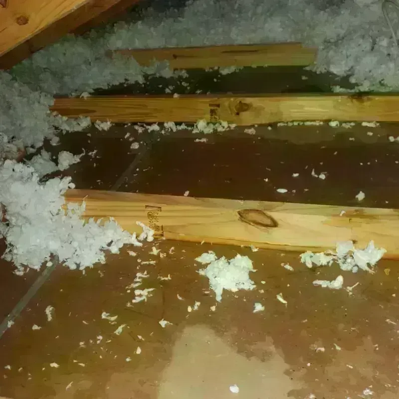 Attic Water Damage in Harmon County, OK