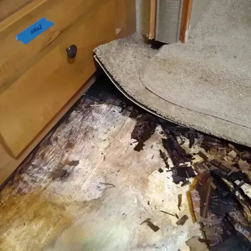 Wood Floor Water Damage in Harmon County, OK